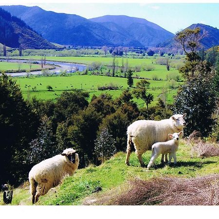Pelorus Heights Lejlighed Havelock Eksteriør billede